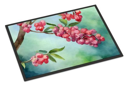NEW Pennsylvania Mountain Laurels in Watercolor Doormat Front Door Mat Indoor Outdoor Rugs for Entryway, Non Slip Washable Low Pile, 18H X 27W